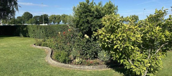 2-Zimmer Bungalow in Podersdorf am See, Austria, Nr. 238165 23