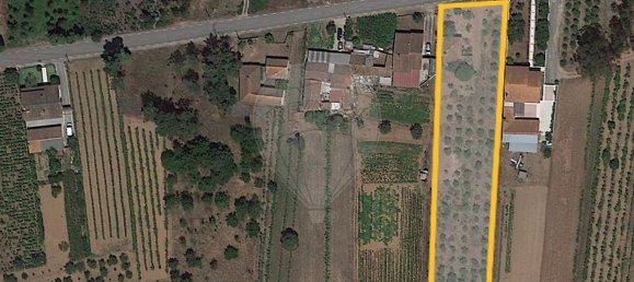 2 Schlafzimmer Haus in Avelas de Cima, Portugal, Nr. 47416 6