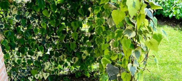 5غرفة منزل في Mazzano, Italy رقم 298299 15