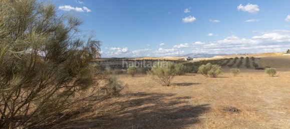 28m² Land in Granada, Spain No. 175723 24