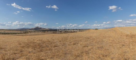 28m² Land in Granada, Spain No. 175723 5