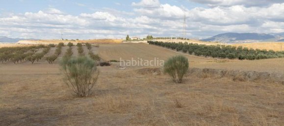 28m² Land in Granada, Spain No. 175723 20