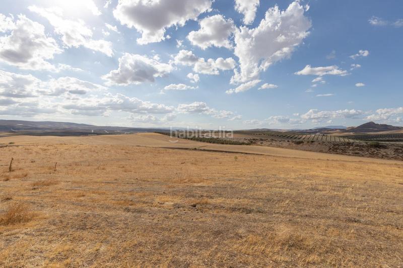 28m² Land in Granada, Spain No. 175723