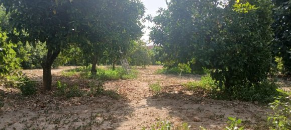 Terreno en Fundao, Portugal 2235 m² No. 274773 7