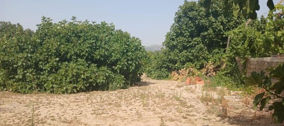 Terreno en Fundao, Portugal 2235 m² No. 274773 6