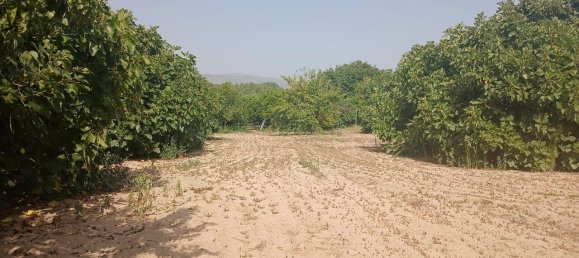 Terreno en Fundao, Portugal 2235 m² No. 274773 5