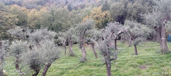 4-salle Terrain à Fosdinovo, Italy No. 106586 3