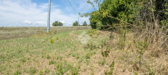 1700m² Land in Stimigliano, Italy No. 281597 8