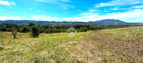 1700m² Land in Stimigliano, Italy No. 281597 13
