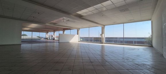 Lagerhaus in San Secondo di Pinerolo, Italy 1500m², Nr. 161087 9