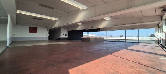 Lagerhaus in San Secondo di Pinerolo, Italy 1500m², Nr. 161087 12