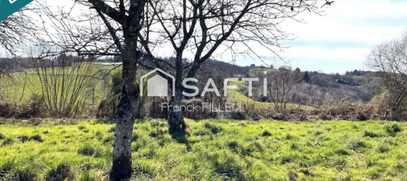 6 bedrooms House in Meuzac, France No. 100941 3