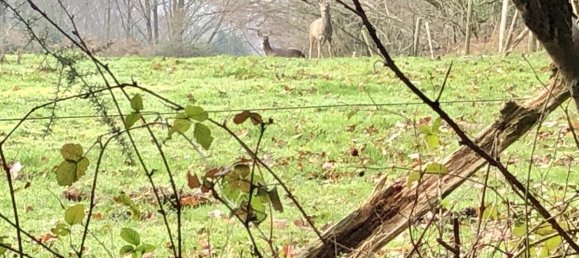 2 bedrooms Apartment in Midhurst, United Kingdom No. 420 6