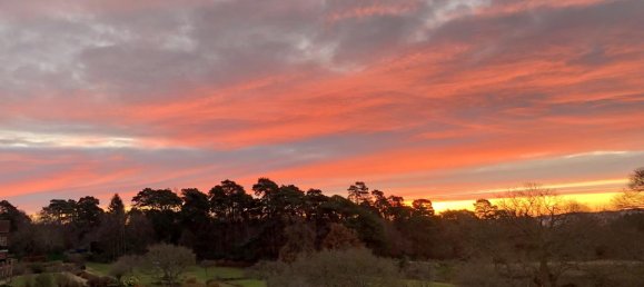 2 bedrooms Apartment in Midhurst, United Kingdom No. 420 9