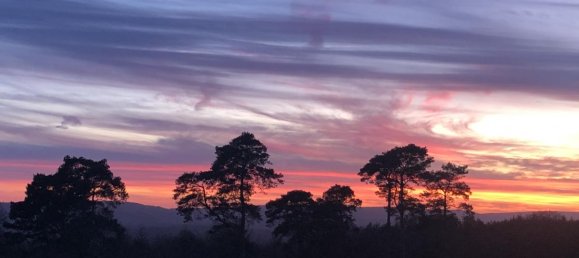 2 bedrooms Apartment in Midhurst, United Kingdom No. 420 11