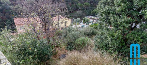 Terreno en Dosrius, Spain No. 72983 2