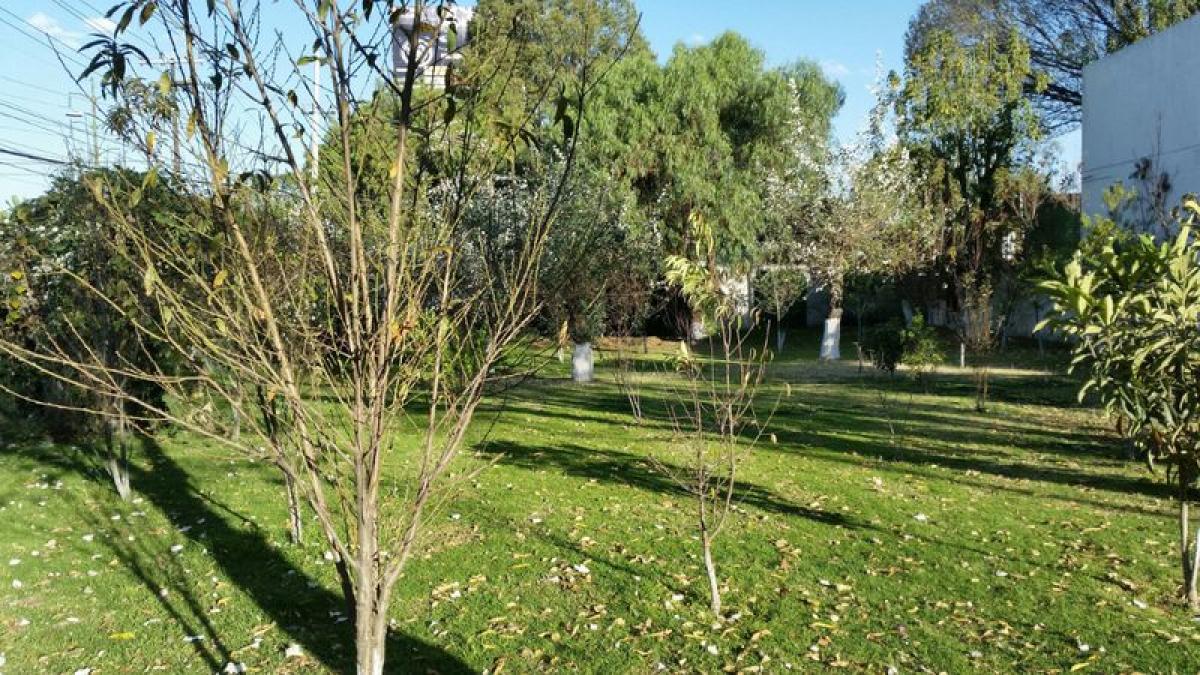 Terrain à Ciudad Lopez Mateos, Mexico No. 202912