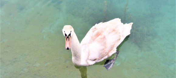 3 rooms House in Ebreichsdorf, Austria No. 53088 3