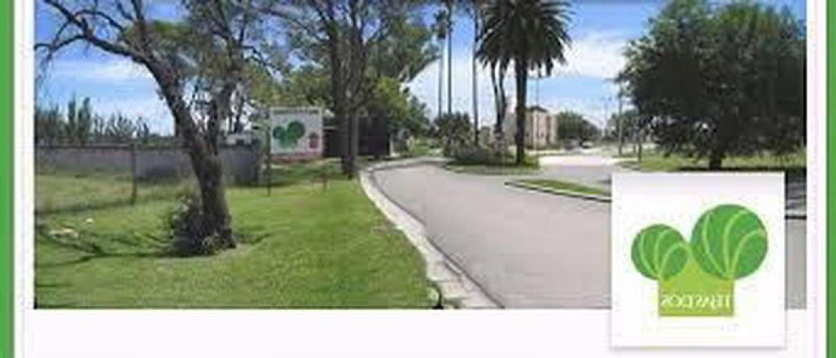  Land in Cordoba, Argentina No. 45312