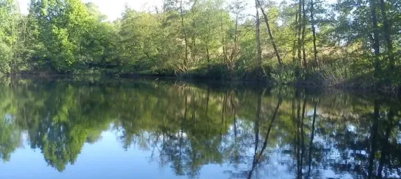  Land in Potsdam-Mittelmark, Germany No. 63702 2