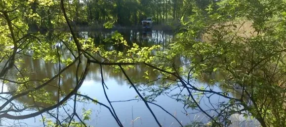  Land in Potsdam-Mittelmark, Germany No. 63702 3