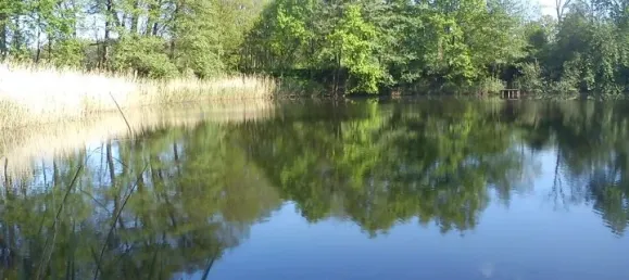  Land in Potsdam-Mittelmark, Germany No. 63702 4