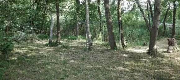  Land in Potsdam-Mittelmark, Germany No. 63702 5