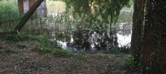  Land in Potsdam-Mittelmark, Germany No. 63702 6