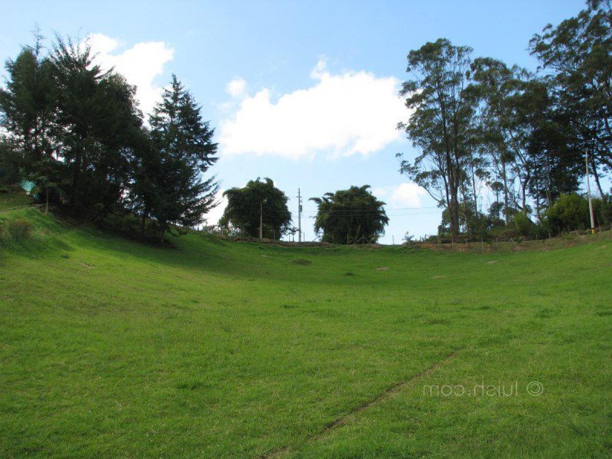 Terreno en Antioquia, Colombia No. 222