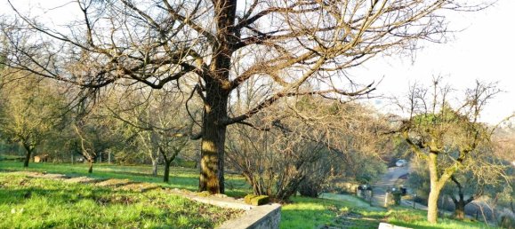 7غرفة فيلا في Vicenza, Italy رقم 33765 28