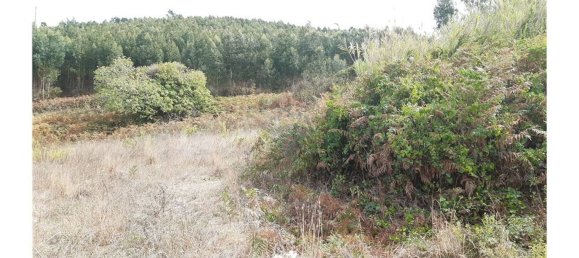 Terreno en Mafra, Portugal 8479 m² No. 58349 8