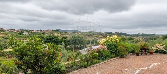 5 bedrooms House in Murca, Portugal No. 165652 22