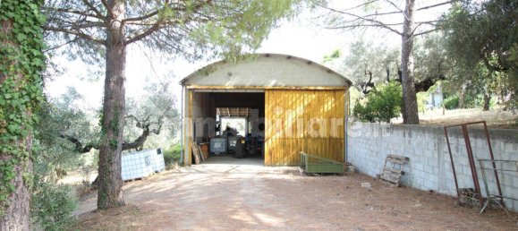 Terrain à Moscufo, Italy 43200m² No. 270004 3