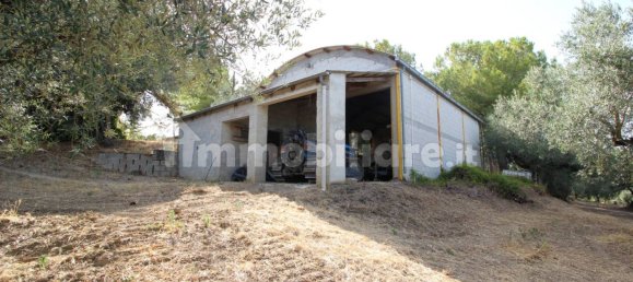 Terrain à Moscufo, Italy 43200m² No. 270004 4