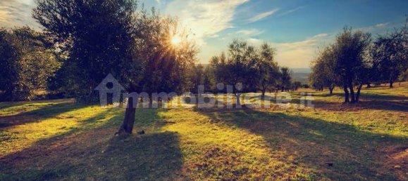 Terrain à Moscufo, Italy 43200m² No. 270004 13