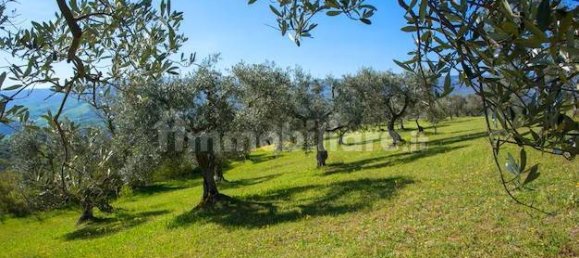 Terrain à Moscufo, Italy 43200m² No. 270004 9