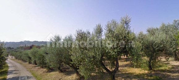 Terrain à Moscufo, Italy 43200m² No. 270004 10