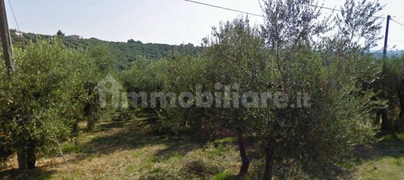 Terrain à Moscufo, Italy 43200m² No. 270004 11