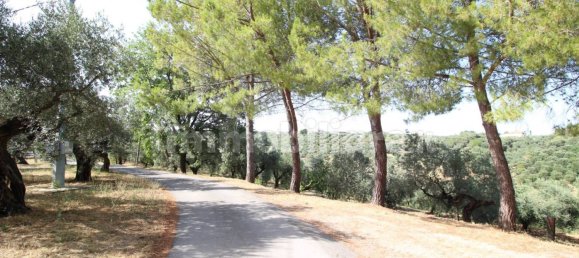 Terrain à Moscufo, Italy 43200m² No. 270004 5