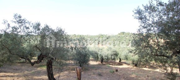 Terrain à Moscufo, Italy 43200m² No. 270004 7