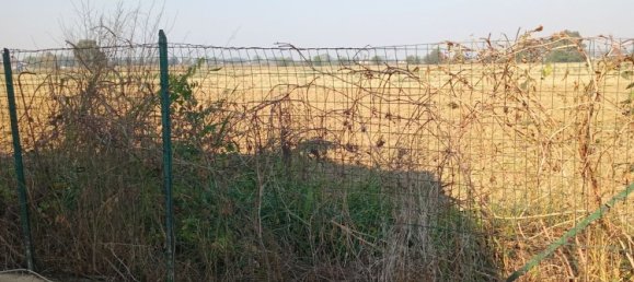 5غرفة منزل في Castelvetro Piacentino, Italy رقم 149708 7