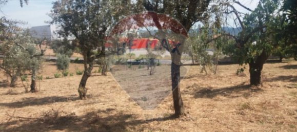 Casa de 4 dormitorios en Serta, Portugal No. 31300 9