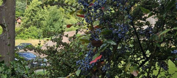 3 bedrooms Building in Calw, Germany No. 249773 10