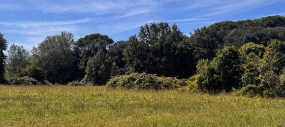 3 rooms House in Viareggio, Italy No. 381987 6