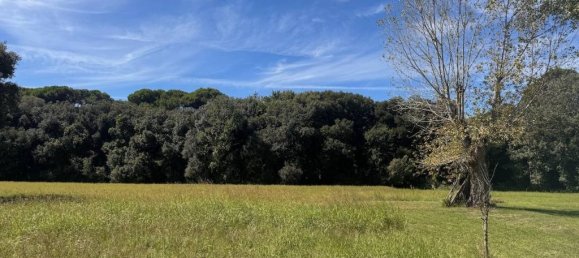 3 rooms House in Viareggio, Italy No. 381987 8