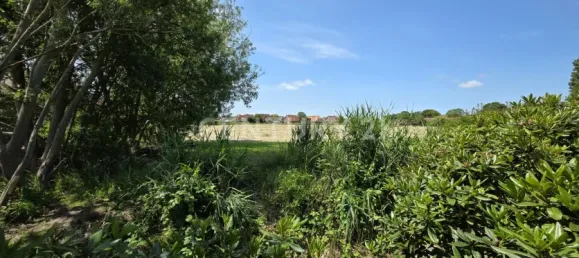 4-salle Maison de ville à Wittmund, Germany No. 338625 4