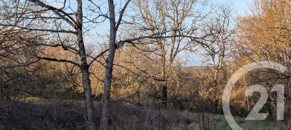 Terrain à Beauville, France 1603m² No. 301207 4