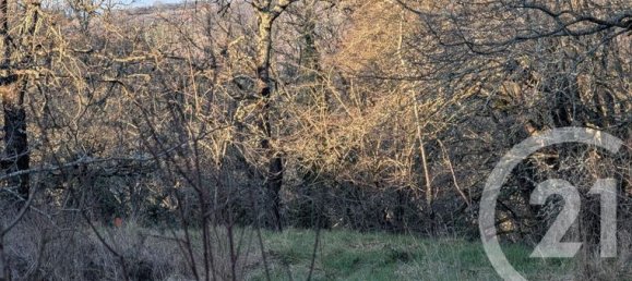 Terrain à Beauville, France 1603m² No. 301207 6