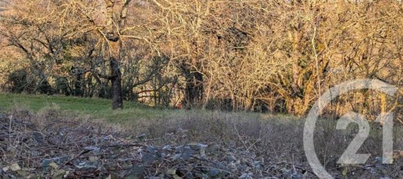 Terrain à Beauville, France 1603m² No. 301207 3