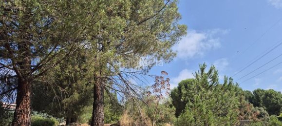894m² Land in Torrelodones, Spain No. 168573 16